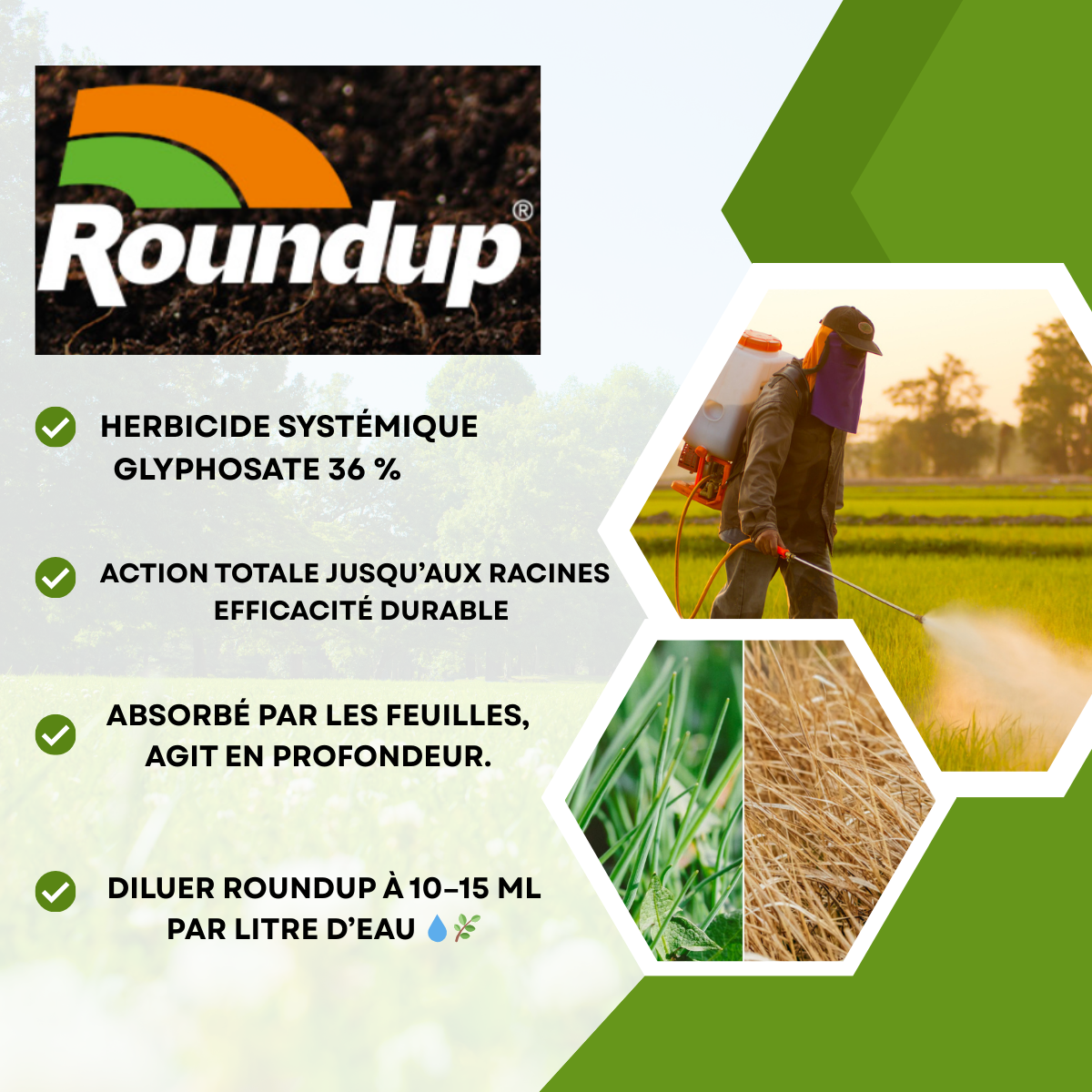 Herbicide Systémique Concentré pour Désherbage Agricole et Espaces Extérieurs